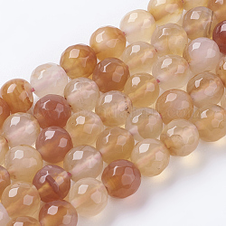 Natural Agate Beads Strands, Faceted, Round, Dyed & Heated, Light Salmon, 8mm, Hole: 1mm, about 48pcs/strand, 15 inch