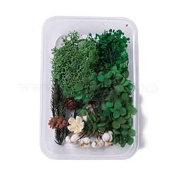 Flores secas, accesorios para hacer jabones de velas diy, con caja de plástico rectangular, verde oscuro, verde oscuro, 2.1~13x1.5~8.9 cm