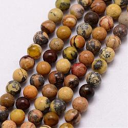 Brins de perles turquoise jaune naturel (jaspe), ronde, 3~3.5mm, Trou: 0.7mm, Environ 115~125 pcs/chapelet, 16 pouce