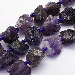 Natural Amethyst Beads Strands, Nuggets, 17~30.5x11~26x11~26mm, Hole: 2mm, about 16~19pcs/strand, 15.7 inch(40cm)