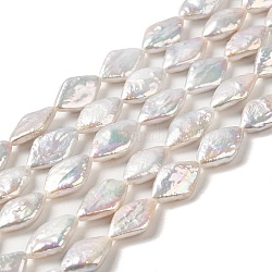 Fili di perle di keshi di perle barocche naturali, perla d'acqua dolce coltivata, rombo, grado 6a+, vecchio pizzo, 14x9x3.5~5mm, Foro: 0.7 mm, circa 27pcs/filo, 15.24'' (38.7 cm)