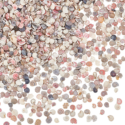 Мини-бусины из натуральных ракушек BSHE-PH0001-57B-1