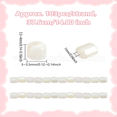 1 нить бусины из натуральных пресноводных ракушек SHEL-LP0001-06-1