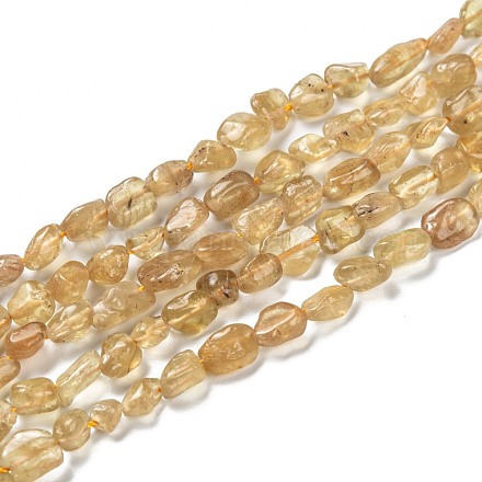 Fili di perle di apatite giallo naturale G-G018-20-1