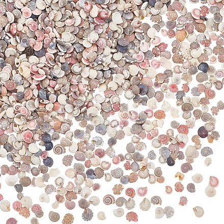 Мини-бусины из натуральных ракушек BSHE-PH0001-57B-1