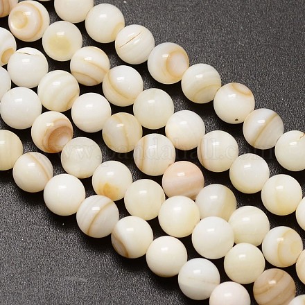 Fili di perle rotonde di conchiglie d'acqua dolce naturali X-SHEL-M013-01-1
