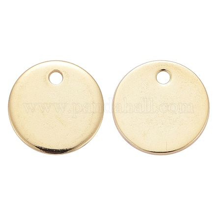 202 Stainless Steel Charms STAS-G173-09G-1