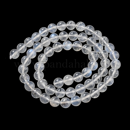 Natürliche runde Perlenstränge aus Regenbogenmondstein G-M263-C-02A-1