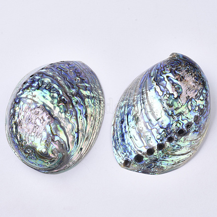 Natürliche Abalone Muschel / Paua Muschel Display Dekoration SSHEL-N0334-01-1
