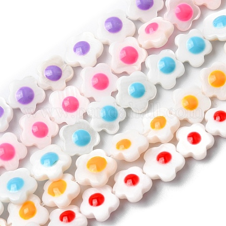 Brins de perles en émail de coquille d'eau douce naturelle SHEL-K006-01-1