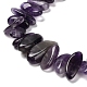 Natürlichen Amethyst Perlen Stränge&nbsp;G-C253-05-4
