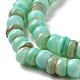 Natural Cultured Freshwater Shell Beads Strands SHEL-F002-01C-4