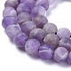 Natural Amethyst Beads Strands G-I288-A01-6mm-3