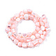 Chapelets de perles de coquille de trochid / trochus coquille SSHEL-N032-49-A05-2