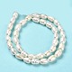 Natural Cultured Freshwater Pearl Beads Strands PEAR-E016-195-3
