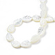 Chapelets de perles de coquille de trochid / trochus coquille SSHEL-N034-135A-01-4