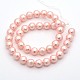 Round Shell Pearl Bead Strands BSHE-M009-10mm-01-2