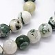 Chapelets de perles en agate d'arbre naturelle X-G-I199-03-8mm-3
