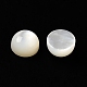 Cabochons de coquillage blanc naturel SSHEL-M022-01A-2