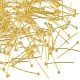 真鍮のボールヘッドピン  ジュエリー作りパーツ  ゴールドカラー  24ゲージ  20x0.5mm  ヘッド：2mm KK-YW0001-42-2