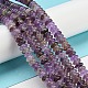 Natural Amethyst Beads Strands G-Z030-A13-01-4