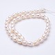 Natural Cultured Freshwater Pearl Beads Strands PEAR-P002-22-2