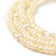 Perle de taille de bijoux d'été NJEW-C00026-6