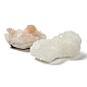Pepite grezze pietra curativa naturale apofillite DJEW-P006-01B-4