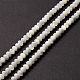 Chapelets de perles de coquille de trochid / trochus coquille SSHEL-O001-24A-02-4