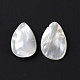 Perles de coquillage blanc naturel SSHEL-C011-06-3