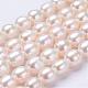 Natural Cultured Freshwater Pearl Beads Strands PEAR-P002-04-1