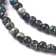 Natural Imperial Jasper Beads Strands X-G-I248-03F-3