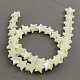 Chapelets de perles en forme d'étoile de coquillage naturel SSHEL-R022-3