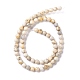 Chapelets de perles en turquoise de HuBei naturelle G-K317-A08-03-4
