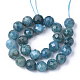 Natural Apatite Beads Strands G-S345-4mm-008-2