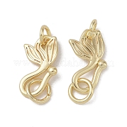 Латуни крюка и S-крючок застежки KK-G497-25G