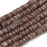 Tinti d'acqua dolce naturale perline shell fili&nbsp;X1-BSHE-G039-07I