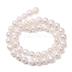 Fili di perle di perle d'acqua dolce coltivate naturali&nbsp;PA-CBABE82-04