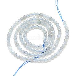 Природные лабрадорита бисер нитей G-S152-09-2mm