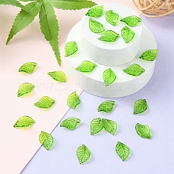 Прозрачные акриловые подвески TACR-YW0001-63