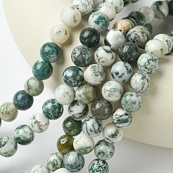 Натуральные древесные агатовые круглые бусины из драгоценных камней&nbsp;G-R255-10mm