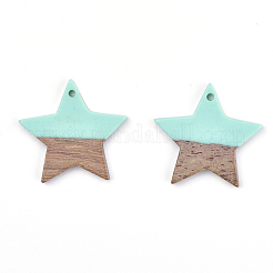 Подвески из смолы и дерева&nbsp;LS-X-RESI-T023-23C