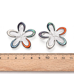 Подвески из сплава и окрашенных натуральных раковин морского ушка&nbsp;PALLOY-T093-05A