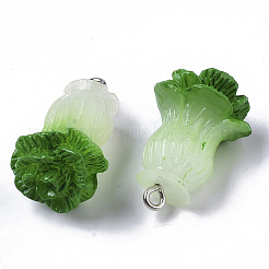 Подвески из смолы&nbsp;X-RESI-R426-05A