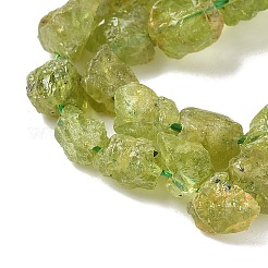 Необработанные грубые натуральные нити бусин перидота G-M453-D12