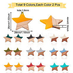 18шт 9 цвета подвески из смолы и ореха&nbsp;RESI-BT0001-08