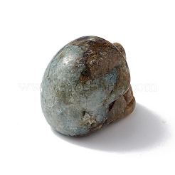 Decorazione naturale dell'esposizione del diaspro dell'oceano&nbsp;G-C022-01E