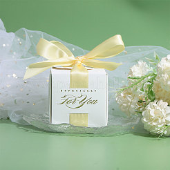 Свадебные бумажные подарочные коробки для конфет с полиэфирной лентой&nbsp;CON-WH0105-08