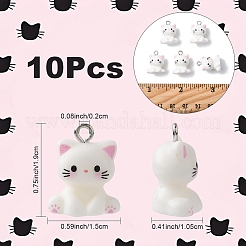 Подвески из непрозрачной смолы 10 шт.&nbsp;RESI-YW0004-51