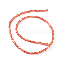 Натуральные пресноводные окрашенные бусы из ракушек SHEL-M018-12-02